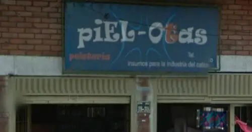 PIEL OTAS PIEL OTAS